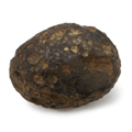 Colombianite